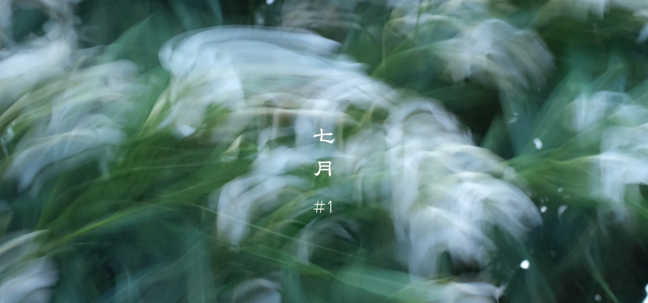 「“冷やす力”を助けて、夏をやさしく乗り切る」〜体と心をととのえる7月の養生〜