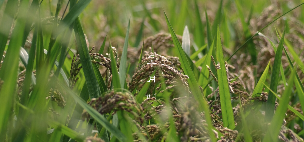 秋の乾燥から守る、親子の養生 〜咳・喉・肌荒れをやさしくととのえる〜