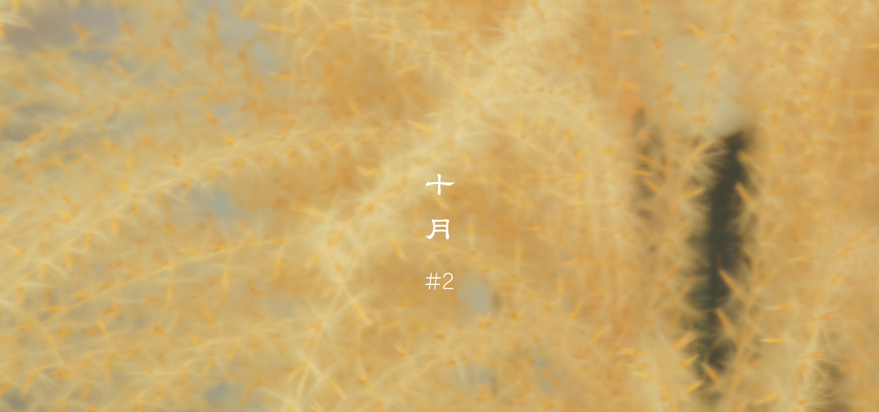 冷えはじめの体に、あたたかい循環を