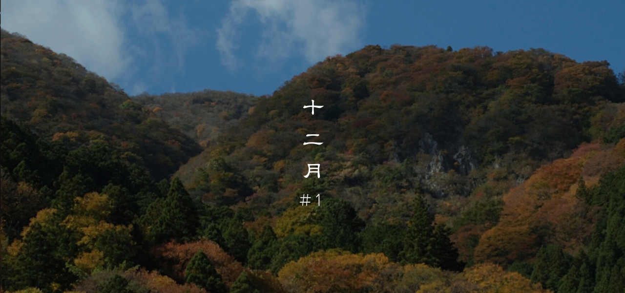冬本番。今やるべき“温めて、守って、満たす”養生”