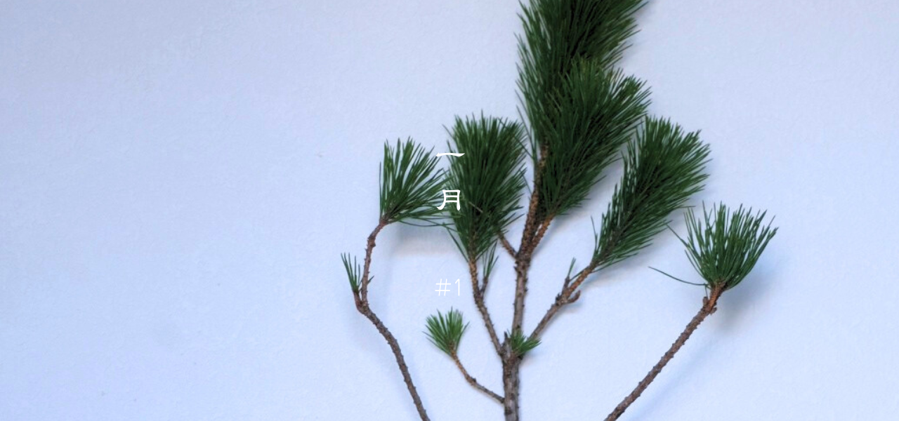 1月は、まだ「冬の真ん中」