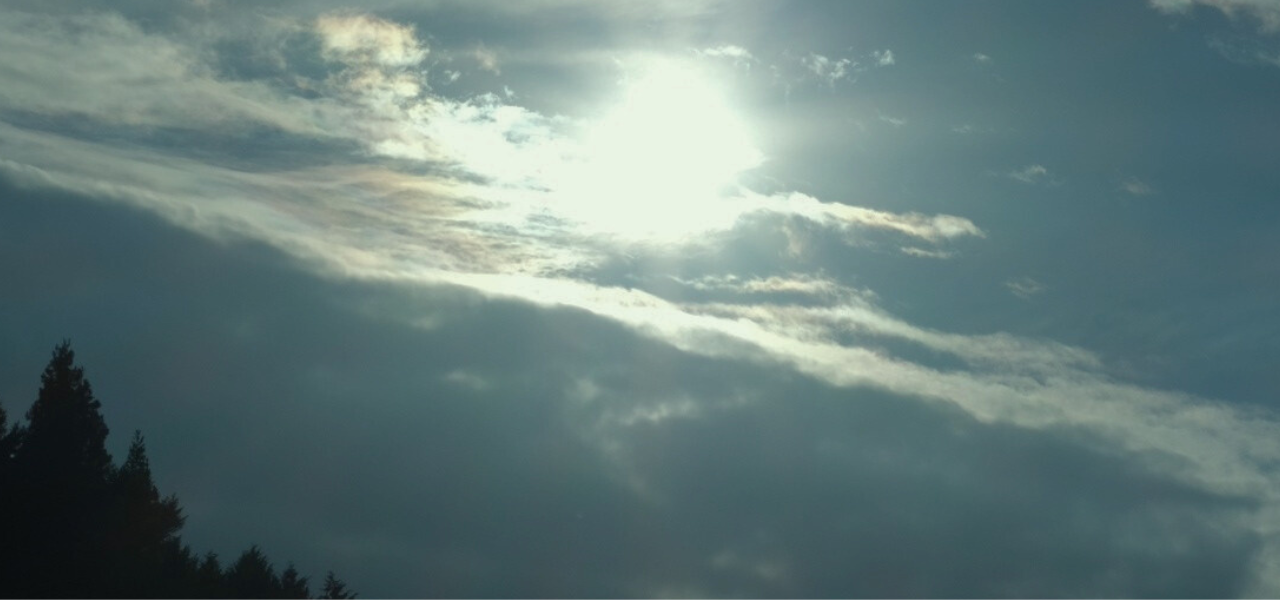 冬から春へ、体は静かに動きはじめている