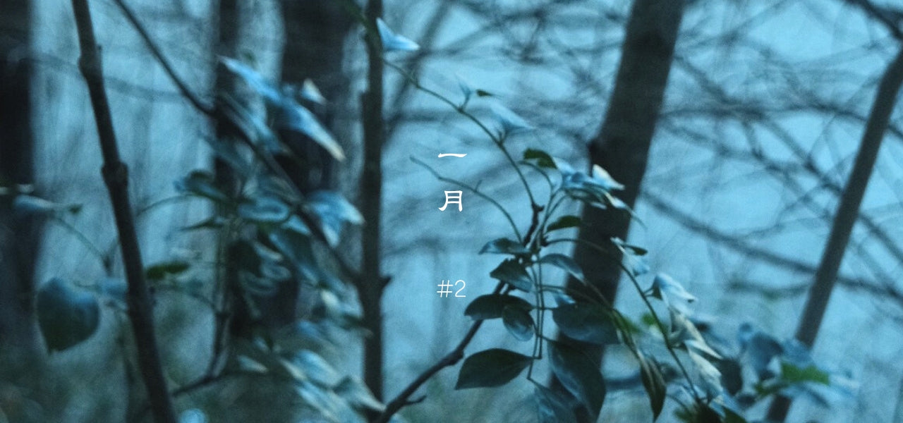 冬の後半、体と心に起こっていること