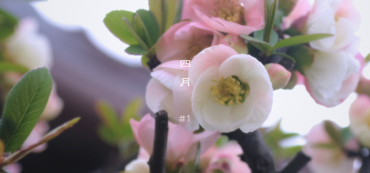 動き出した体を、やさしく満たす養生