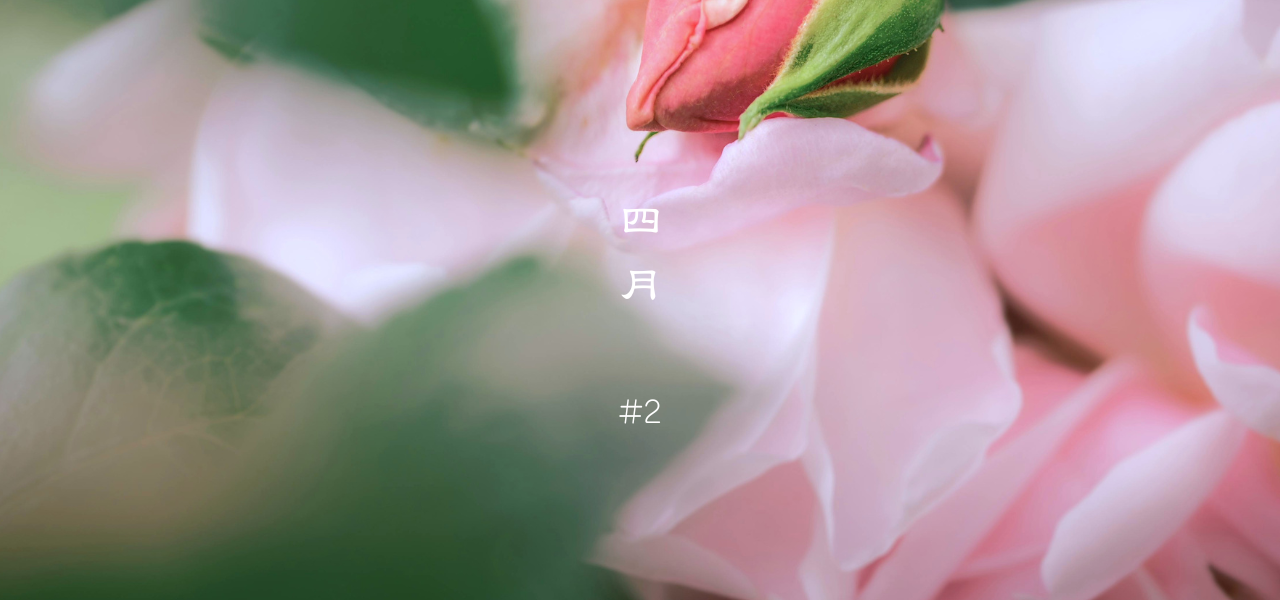 春の巡りと、ためこみはじめる体